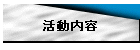 活動内容