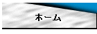 ホーム