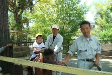 動物ふれ合い教室