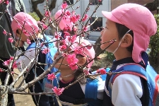 梅のお花見会2