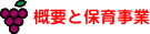 Tvƕۈ玖