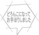 どろんこになって お芋ほりしました 