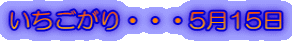 いちごがり・・・5月15日