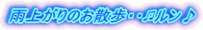 雨上がりのお散歩・・?ルン♪